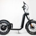 e-scooter_C5D_9731-Verbessert-RR